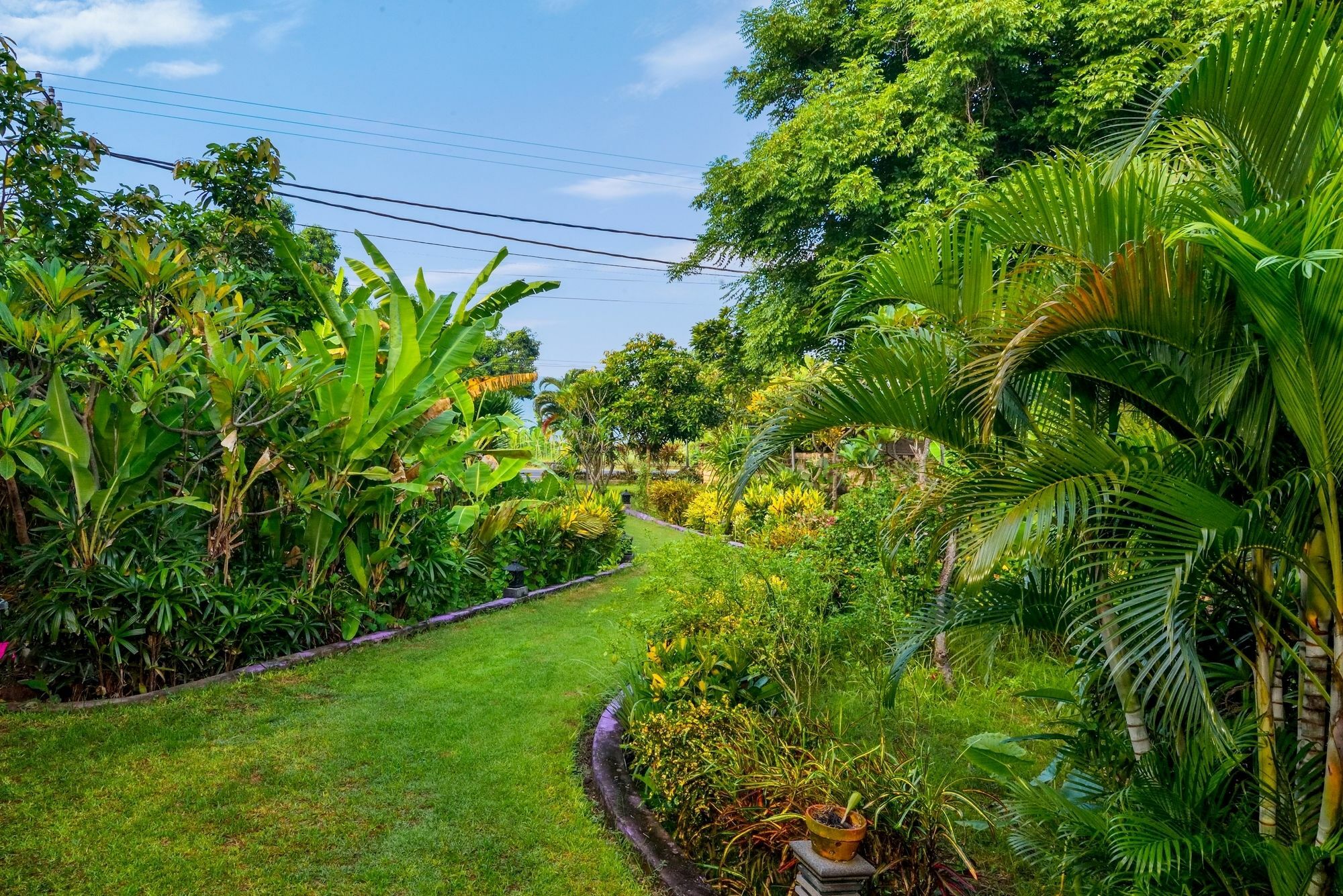 Dolphin Beach Bali Hotel Lovina Exterior foto